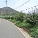 중용각 경로당 이미지