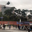 모범떡볶이 네이버블로그