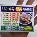 와우와우왕족발 - 북구 | 와우와우왕족발