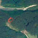 법전면사무소 이미지