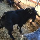 김인기농장 이미지