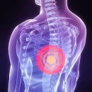 늘푸른한의원 이미지