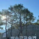 장금이소머리국밥 이미지