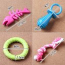 해피애견 이미지