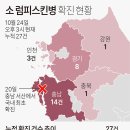 소 럼피스킨병 확진 현황 이미지