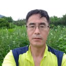 400번지 티스토리