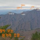 가리마