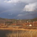 무지개메디칼 이미지