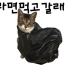 바탕뷰티샵