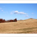 서해목장 이미지