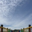 전남 고흥 우도 레인보우교 후기 - 물때, 주차, 길이, 소요 시간 총정리