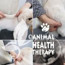 오행건강센터 이미지