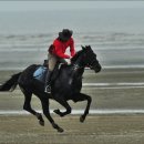 금당구클럽 이미지