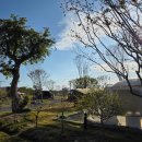 패밀리분식 이미지