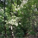 인천가정초등학교 이미지