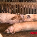 재남농장 이미지