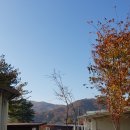 대성리유스캠프