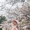 세나세라 이미지