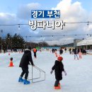 스마트종합정비 | 부천 아이와 가볼만한곳 빙파니아 스케이트장 예약 썰매 범퍼카 주말 방문 후기