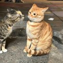 광덕4로11 | 2025년 4월 일상모음 toooooo late