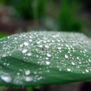 183-1-000024 이미지