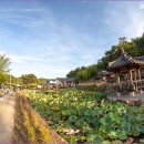 영천 귀애정 이미지