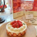 글쓰기 레시피, 봄 이미지