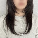 숩틸 이미지