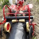 금파농장 이미지