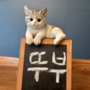 화순고려병원 이미지