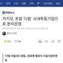 카카오, 포털 &#39;다음&#39; 사내독립기업으로 분리운영 이미지