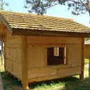 황토와소나무 이미지