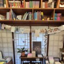 달고양이 이미지