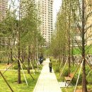 금나래중앙공원 이미지