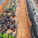 버들어린이집 이미지