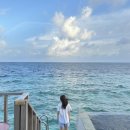 옐로우샤크 | 오블루 셀렉트 로비길리 룸 타입 선네스트워터풀빌라, 네스트워터빌라 숙박 후기 / 몰디브 우기 신혼여행