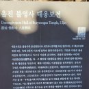 따스하개 이미지