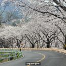 안태지천 이미지