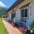 마녀의하루 이미지