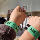 세화로134번길 | 코리아 렙타일 포럼 in 수원 [KRF] 방문 후기 🦎