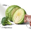 현명한선택 이미지