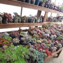 풀빛정원 이미지