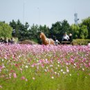 계양경기장-계양아시아드양궁장 이미지