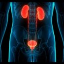 강남성모비뇨의학과의원 이미지