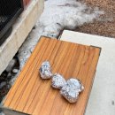 일월일지 이미지