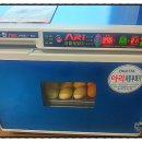 늘푸른청계농원 이미지