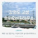 해변민박 | 송지호해수욕장 민박 해변 1분컷송지호비치하우스 솔직후기
