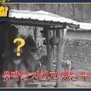 MBC에브리원 시골경찰 리턴즈 ＜임동파출소＞편 몰아보기 이미지