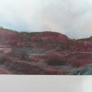 유비공인중개사사무소 이미지