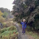 효자동 박태성정려비및묘 이미지